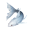 道具纱裙鱼.png