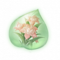 道具柔粉蓬蓬兰精粹.png