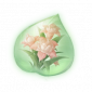 道具柔粉蓬蓬兰精粹.png