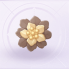 部件晨林结愿01.png
