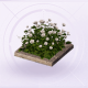 家具轻霞花坛.png