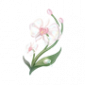 道具雨滴蝶兰.png