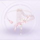 部件静若红花·初芒01.png