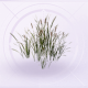 家具芦苇.png