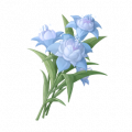 道具湖蓝蓬蓬兰.png