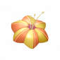 道具荷包草.png
