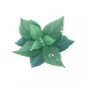 道具盛夏之气.png