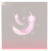光之羽·脚部粉.png