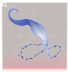 生命之书·手部蓝.png
