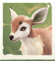 生物花环鹿.png