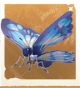 生物珠链蝶.png