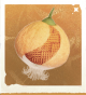 生物布布果树.png