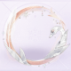 头像框雾羽湖光01.png