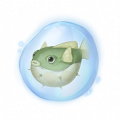 道具针包豚鱼精粹.png