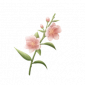 道具瓣之馨.png