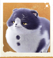 生物衬衫猫.png