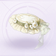 部件悠久琴音·柔茵01.png
