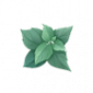 道具夏之气.png