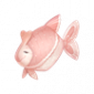 道具头巾鱼.png