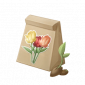 道具杯杯香种子.png