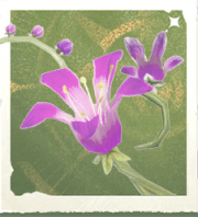 生物噼啪火花.png