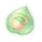 道具飞球果精粹.png
