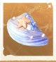 生物小星扇贝.png