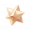 道具蜜陨星.png