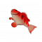 火焰斑鱼.png