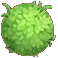 牛草球