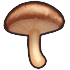蕨菜
