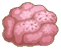石珊瑚模型A