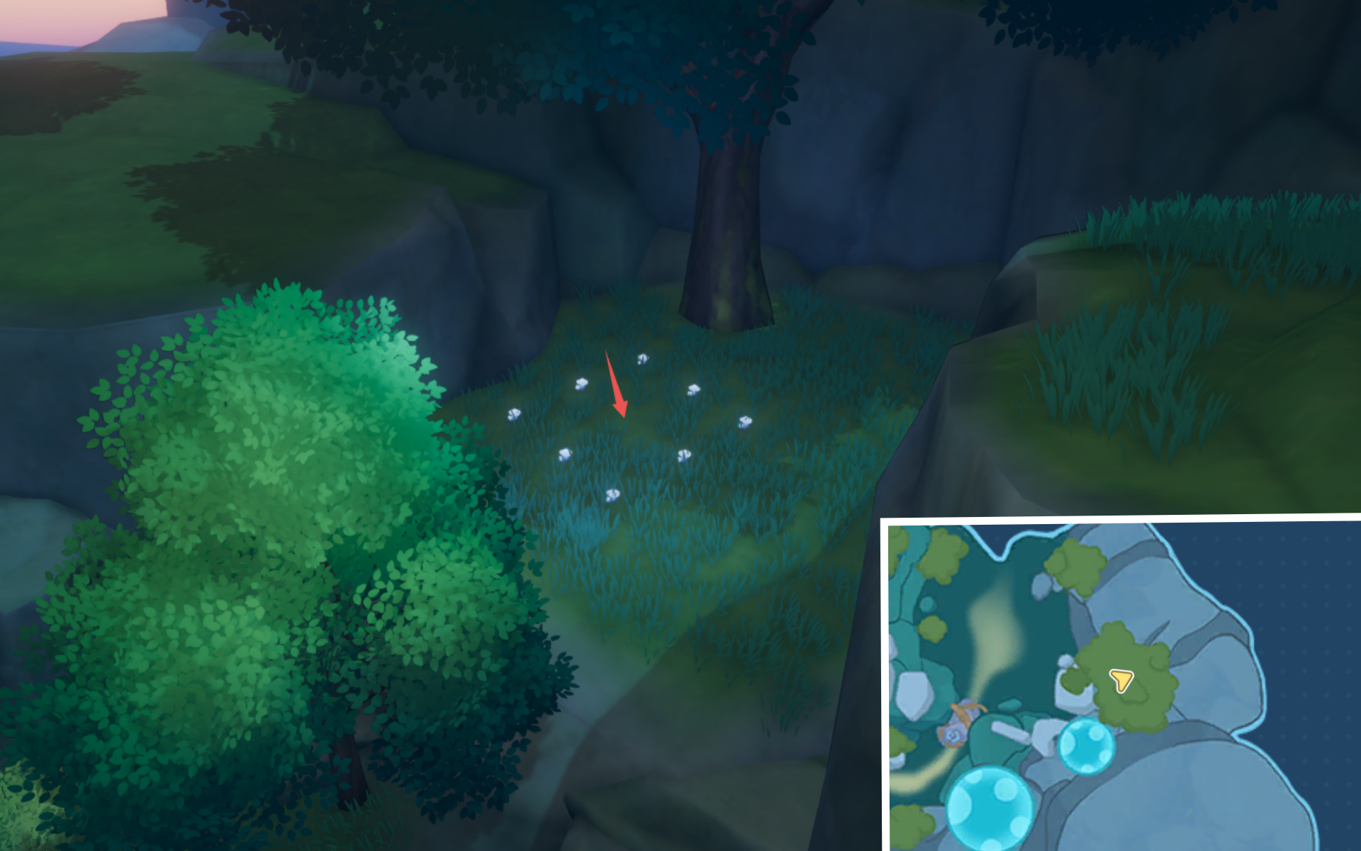 官方攻略-荧月之森全宝箱收集攻略 17.png