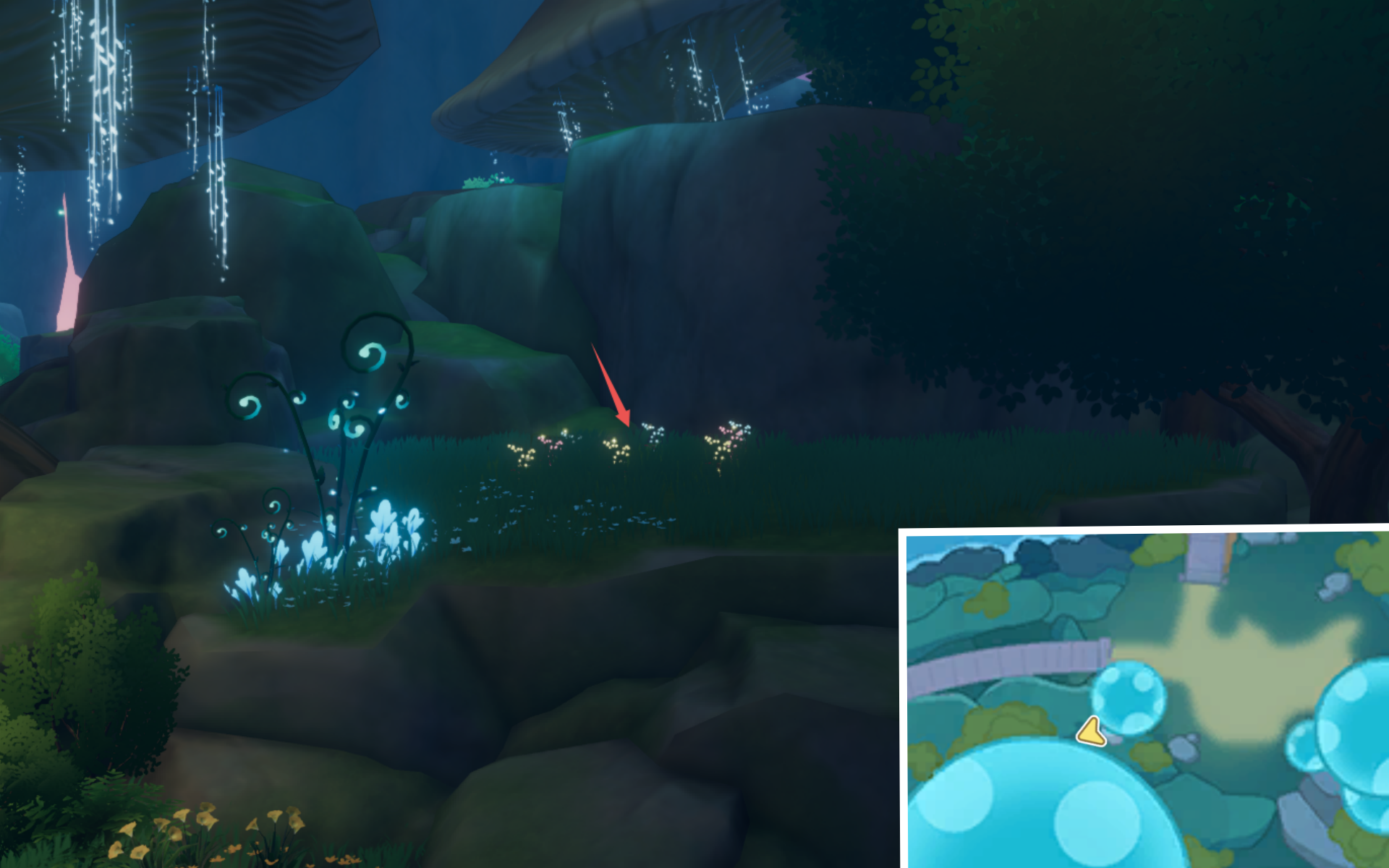 官方攻略-荧月之森全宝箱收集攻略 23.png