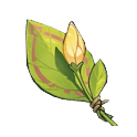 献给明日的花