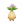 曼德拉草