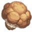 野生茯苓