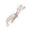粉蓝蝲蛄
