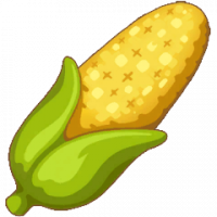 玉米