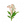 粉睡铃兰