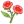 红月见