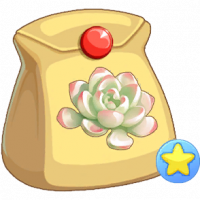 白色石莲不朽种子