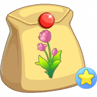 粉郁金香不朽种子