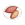 Food_Snack