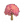 粉色大叶榕B