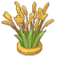 风语麦穗