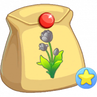 黑郁金香不朽种子