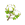 棉花