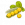 大豆