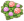 红粉绣球花丛